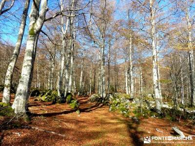 Parques Naturales Urbasa-Andía y Aralar - Nacedero del Urederra; excursiones montaña madrid